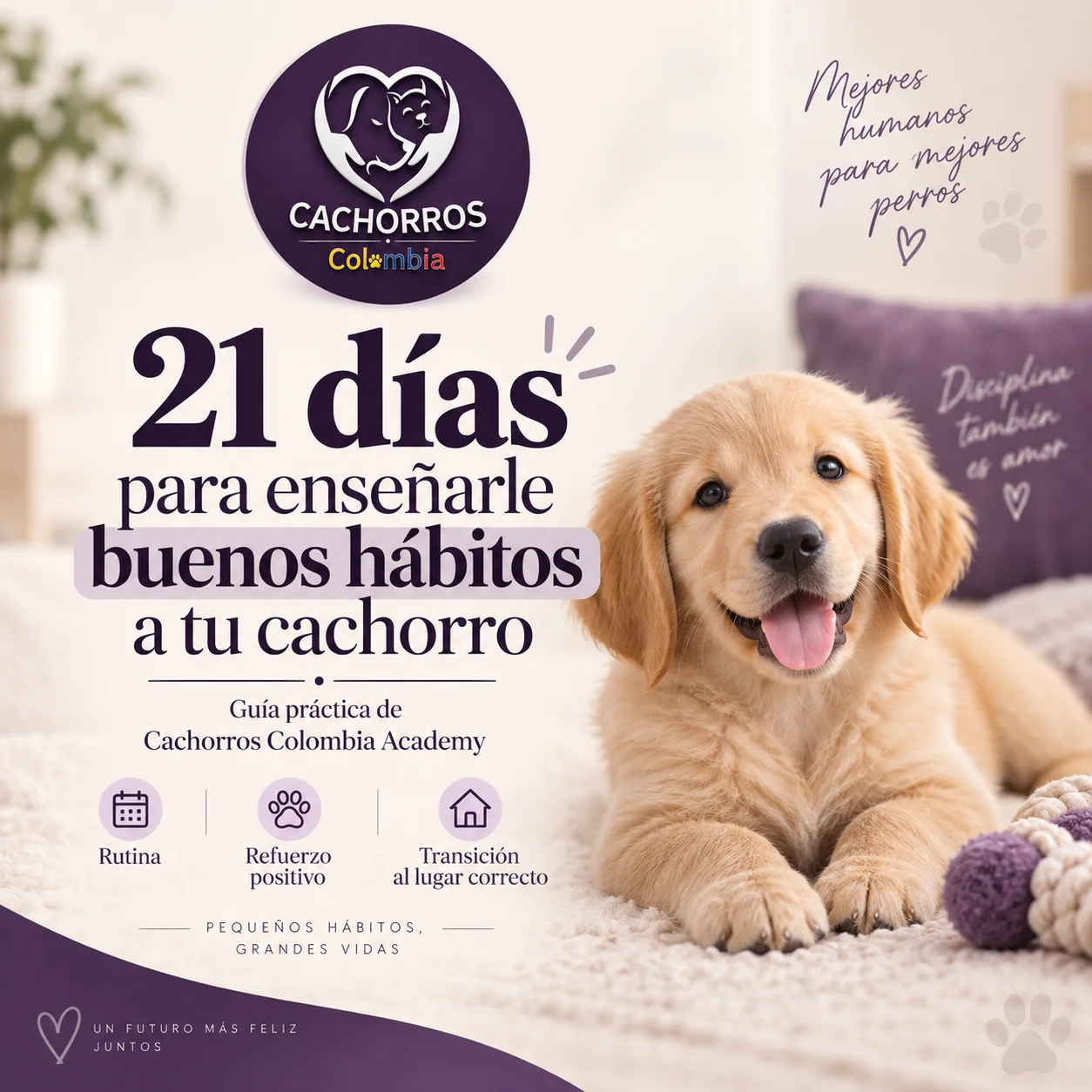 Portada de la guía 21 días para enseñarle buenos hábitos a tu cachorro